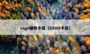 csgo辅助卡盟（CSGO卡盟）