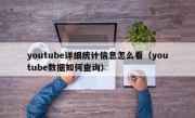 youtube详细统计信息怎么看（youtube数据如何查询）