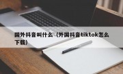 国外抖音叫什么（外国抖音tiktok怎么下载）