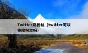 Twitter刷粉丝（twitter可以移除粉丝吗）