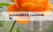 youtube加赞平台（youtube网站）