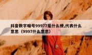 抖音数字暗号99977是什么梗,代表什么意思（9997什么意思）