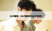 dnf辅助（dnf辅助职业有哪些）