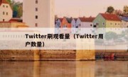 Twitter刷观看量（Twitter用户数量）