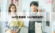 dnf王者辅助（dnf辅助贴吧）