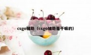 csgo辅助（csgo辅助是干嘛的）