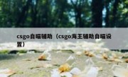 csgo自瞄辅助（csgo海王辅助自瞄设置）