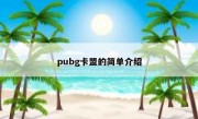 pubg卡盟的简单介绍