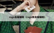 csgo自瞄辅助（csgo微自瞄辅助）