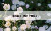 限行图片（限行灯带图片）