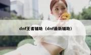 dnf王者辅助（dnf最新辅助）