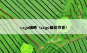 csgo辅助（csgo辅助位置）