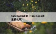 facebook流量（facebook流量转化率）