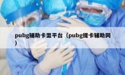 pubg辅助卡盟平台（pubg提卡辅助网）