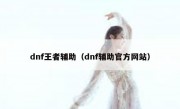 dnf王者辅助（dnf辅助官方网站）