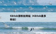 tiktok涨粉丝网站（tiktok最多粉丝）