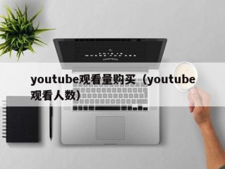 youtube观看量购买（youtube观看人数）