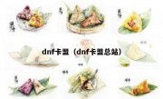 dnf卡盟（dnf卡盟总站）