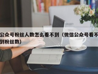 公众号粉丝人数怎么看不到（微信公众号看不到粉丝数）