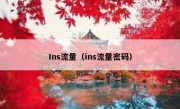 Ins流量（ins流量密码）