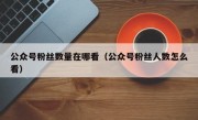 公众号粉丝数量在哪看（公众号粉丝人数怎么看）