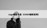 csgo辅助卡盟（CSGO辅助官网）