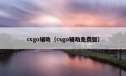 csgo辅助（csgo辅助免费版）