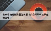 公众号的粉丝数量怎么看（公众号的粉丝数在哪儿看）