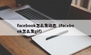 facebook怎么发动态（facebook怎么发gif）