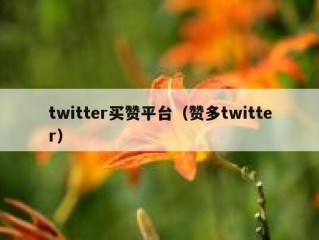 twitter买赞平台（赞多twitter）