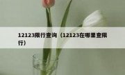 12123限行查询（12123在哪里查限行）