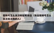 视频号怎么关注粉丝呢微信（微信视频号怎么关注关注我的人）