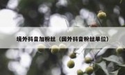 境外抖音加粉丝（国外抖音粉丝单位）