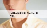 twitter加播放量（twitter用户数）