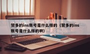 赞多的ins账号是什么样的（赞多的ins账号是什么样的啊）