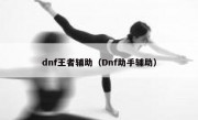 dnf王者辅助（Dnf助手辅助）