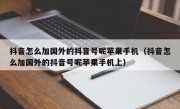 抖音怎么加国外的抖音号呢苹果手机（抖音怎么加国外的抖音号呢苹果手机上）