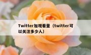 Twitter加观看量（twitter可以关注多少人）