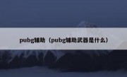 pubg辅助（pubg辅助武器是什么）