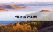 卡盟pubg（卡盟辅助）