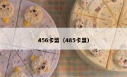 456卡盟（485卡盟）