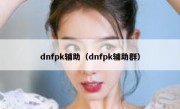 dnfpk辅助（dnfpk辅助群）