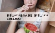 抖音上8023是什么意思（抖音上112233什么意思）