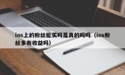 ins上的粉丝能买吗是真的吗吗（ins粉丝多有收益吗）