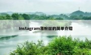 Instagram涨粉丝的简单介绍