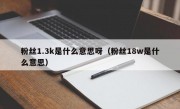 粉丝1.3k是什么意思呀（粉丝18w是什么意思）