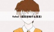 fuhui（福慧双增什么意思）