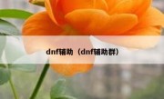 dnf辅助（dnf辅助群）