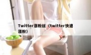 Twitter涨粉丝（twitter快速涨粉）