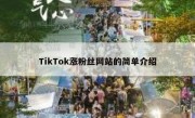 TikTok涨粉丝网站的简单介绍